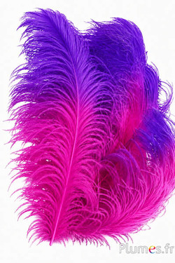 Struisvogel premium - 50-60 cm - fuchsia-violet